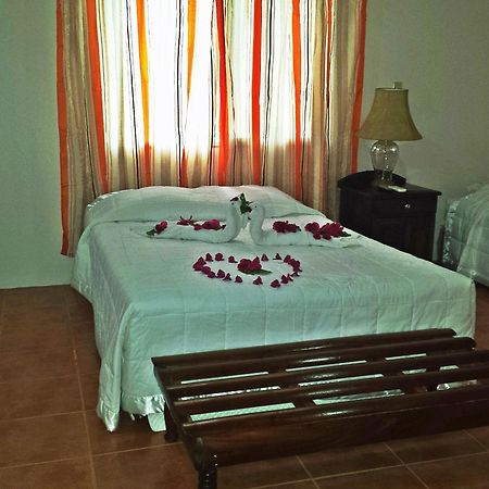 The Log Cab-Inn San Ignacio Room photo