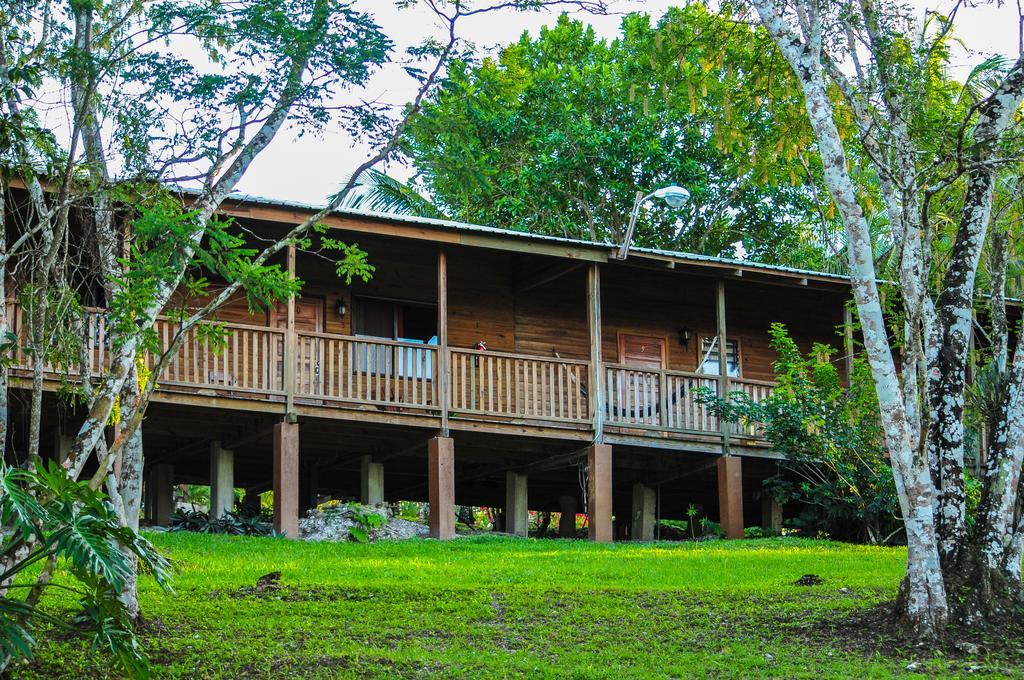 The Log Cab-Inn San Ignacio Room photo