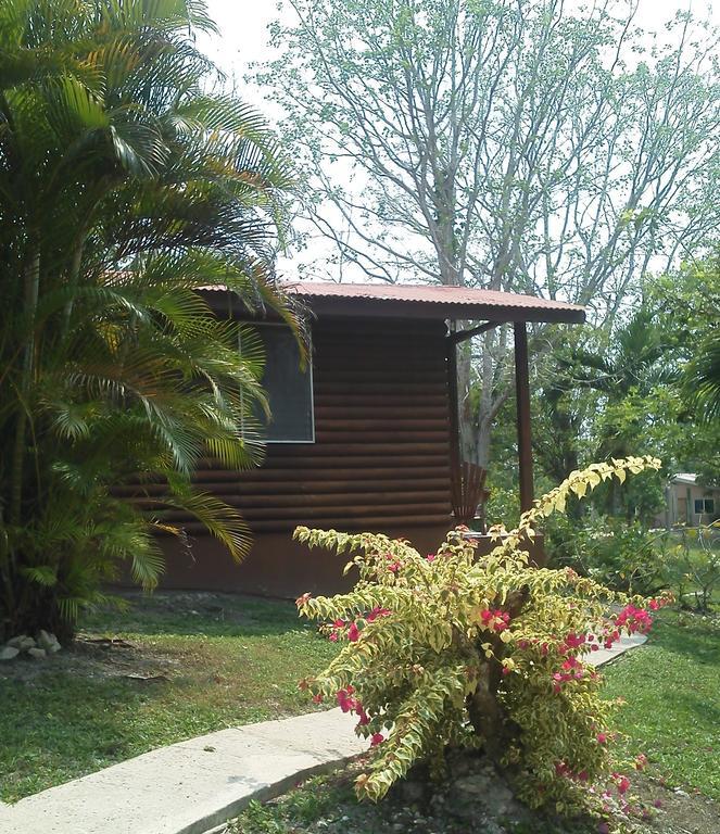The Log Cab-Inn San Ignacio Room photo