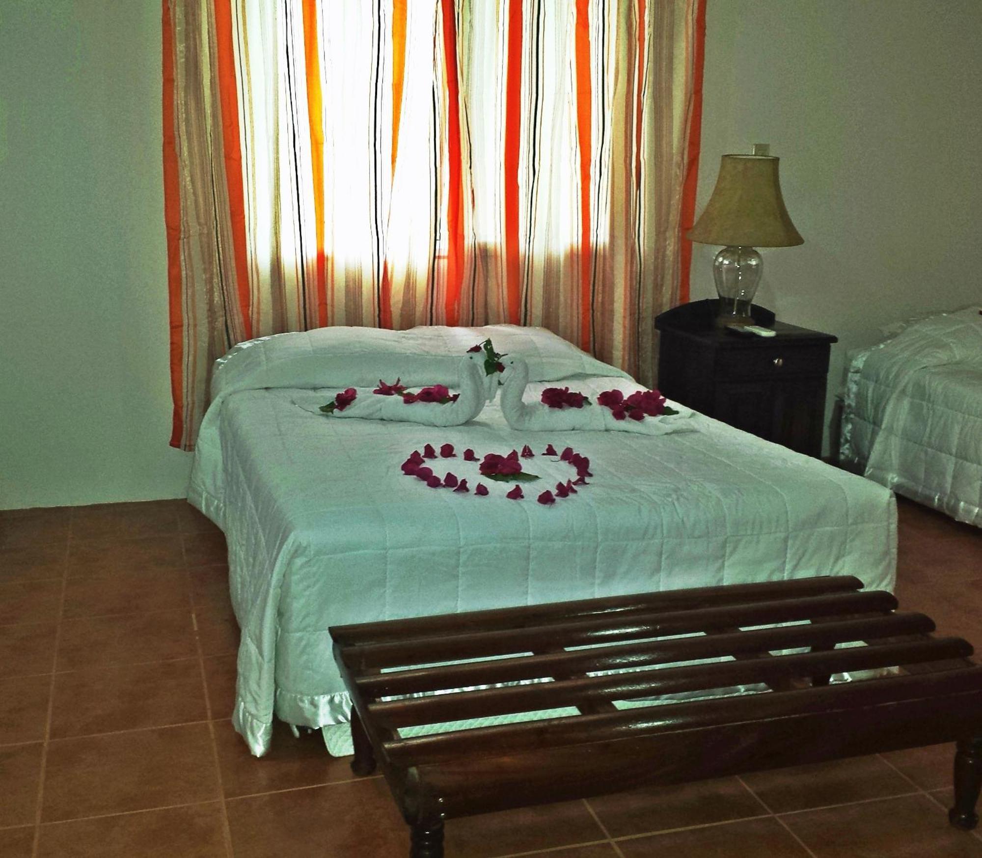 The Log Cab-Inn San Ignacio Room photo