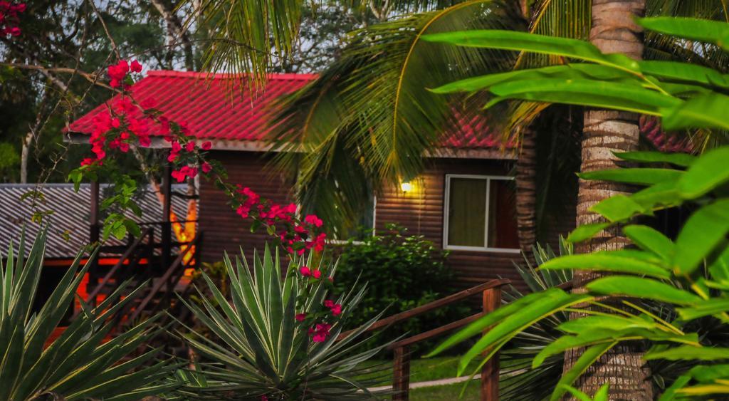 The Log Cab-Inn San Ignacio Room photo