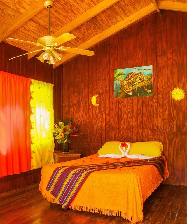 The Log Cab-Inn San Ignacio Room photo